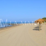 Beachfront Land!