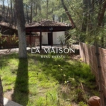 Perfect countryside retreat Agios Epifanios