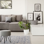 Spacious, Contemporary Apartment