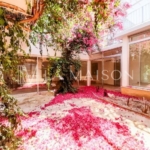 A Dream Location Packed With Potential