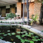 Timeless Architecture Meets Modern Luxury