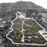 Scenic Agricultural Plot with Excellent Investment Potential