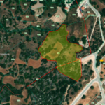 Spacious Residential and Agricultural Land in Tremithousa